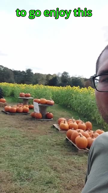 High trust society is better.