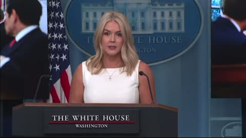 Leavitt SHREDS Leftist Media for Dishonest Coverage of Trump's Russia-Ukraine Negotiations