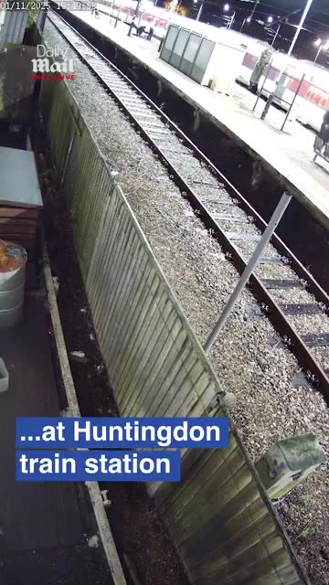 CCTV from the Huntington train mass stabbing shows police taser the wrong ...