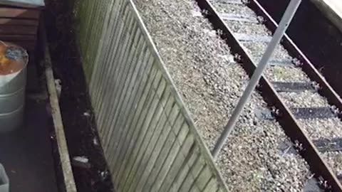 CCTV from the Huntington train mass stabbing shows police taser the wrong ...