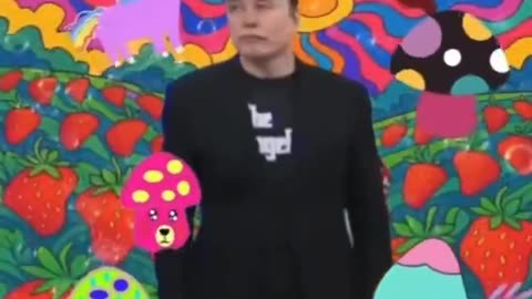 Elon in the White House