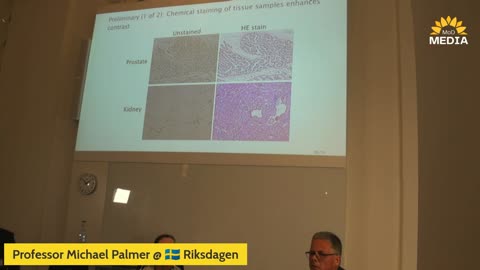 English - Professor Michael Palmer vittnesmål riksdagen den 29 sep 2023