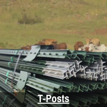 Fencing T-Posts