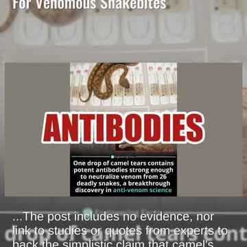 Fact Check: Scientists Have NOT Proved Camel Tears Are An Antidote For Venomous Snakebites