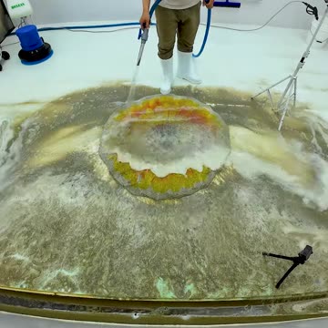 Extreme Carpet Cleaning Challenge - Unbelievably Satisfying Results #shorts #satisfyingvideo