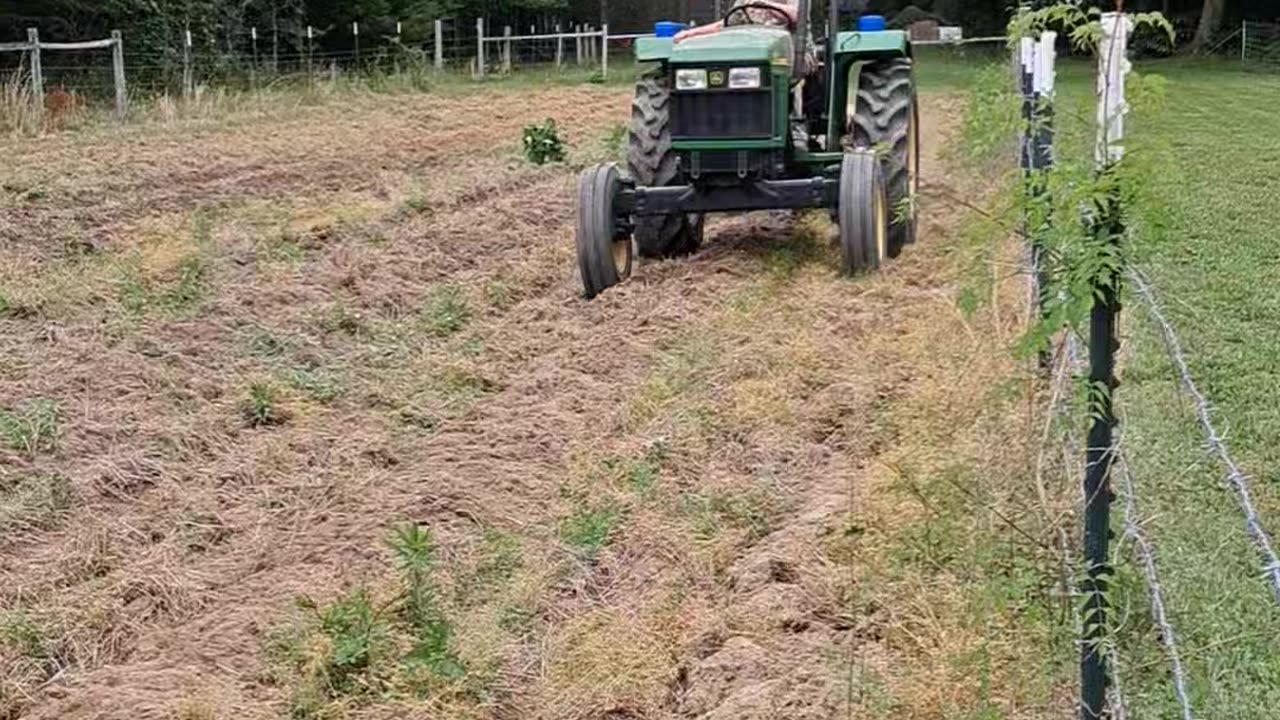 Preparing the garden