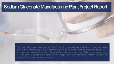 Sodium Gluconate Manufacturing Plant Report