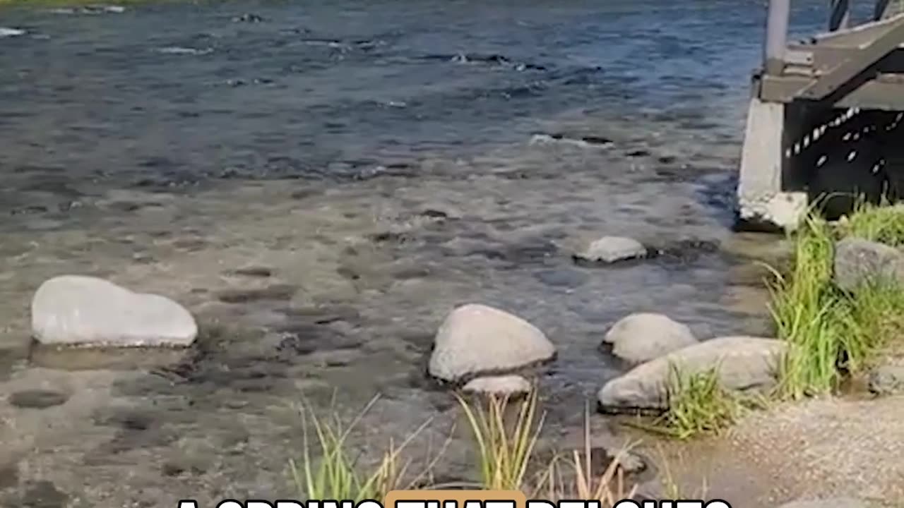 This river flows year-round without freezing. You won't believe why!
