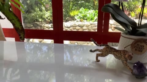 #passing Day 22 [30-Day Dance with 30-Seconds]