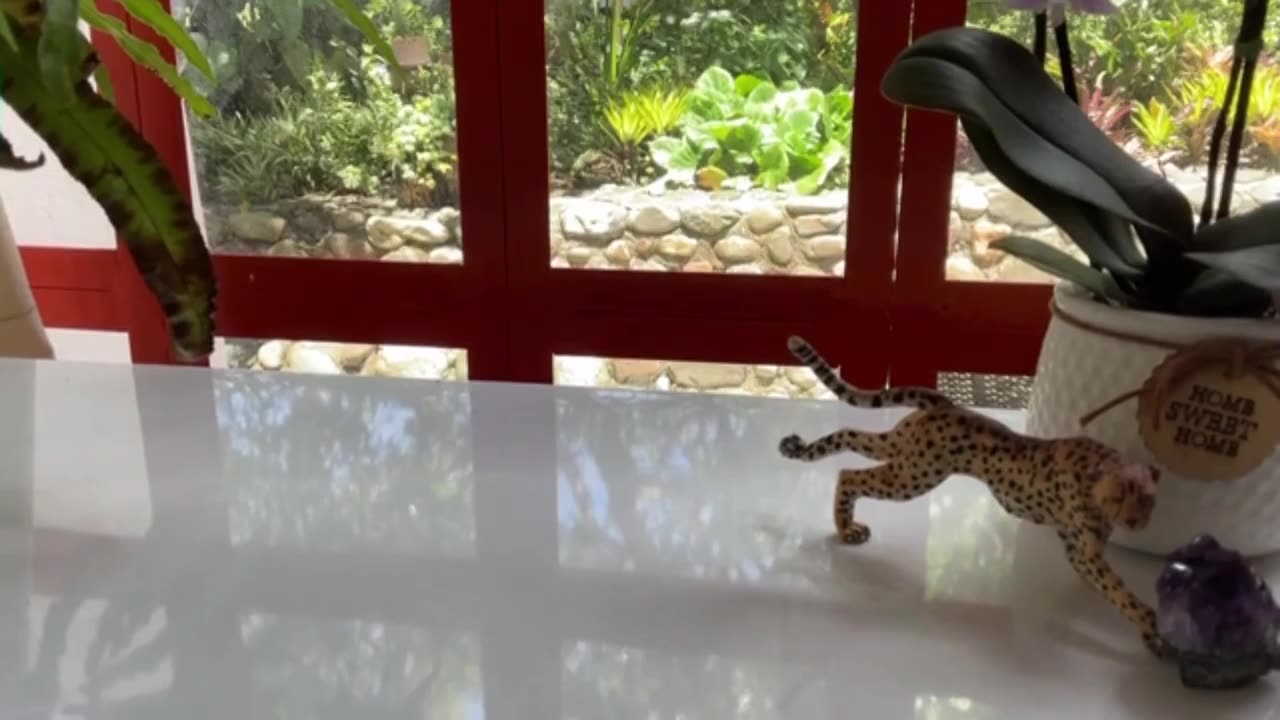 #passing Day 22 [30-Day Dance with 30-Seconds]