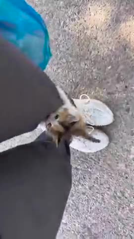 I choose you to be my caretaker 😊