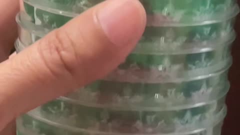 Festive plastic cup with Santa Claus design and snowflakes. (Rare find)