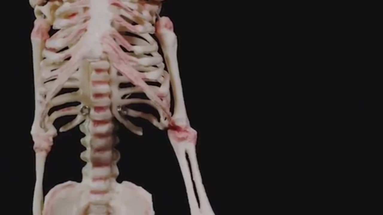 Your BONES can BRIGHT!!