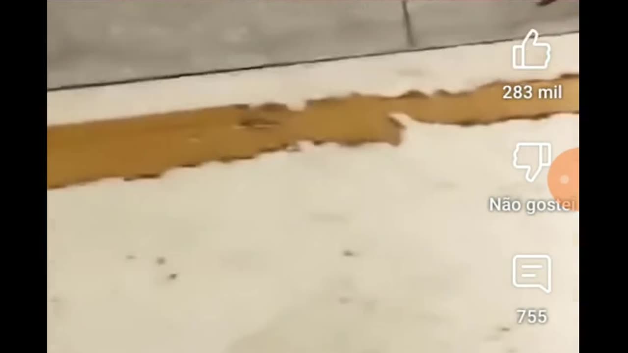 Melhores momentos pra rir