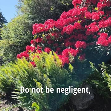 Shun the Satisfactions of This Age