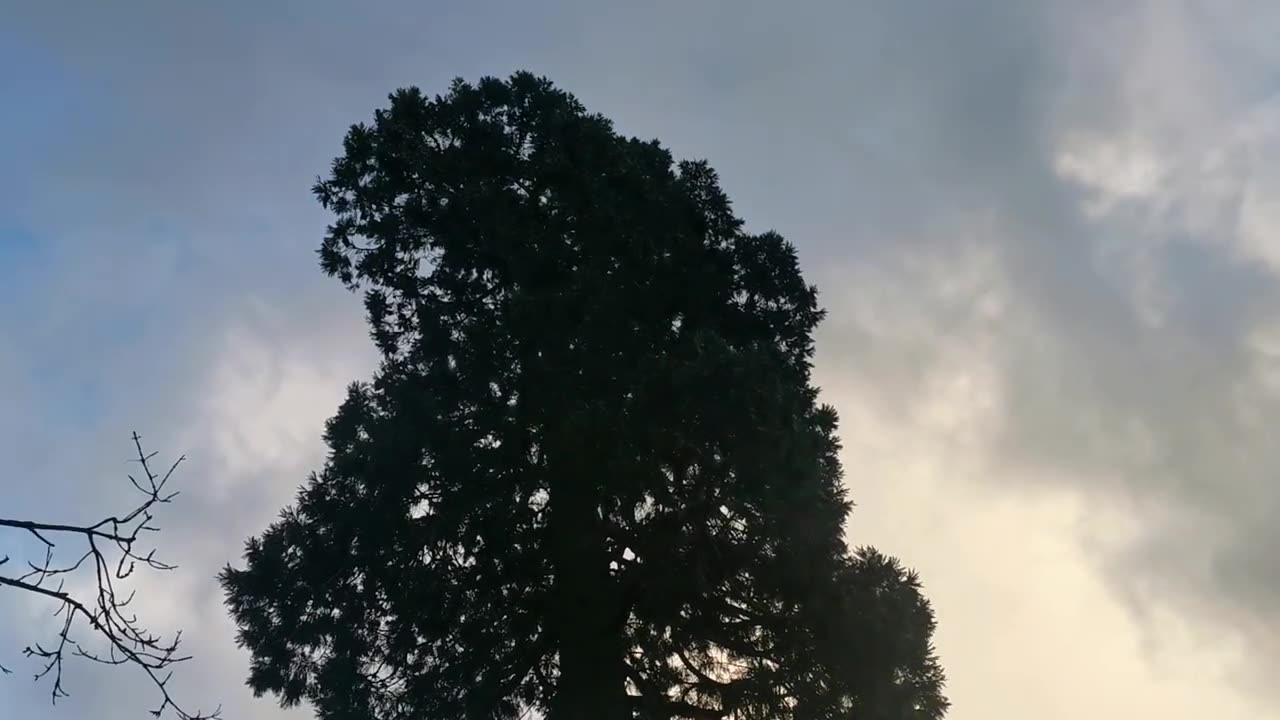 RUN