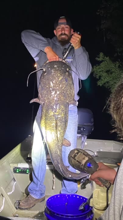 Big Ol' 4,000lb Catfish