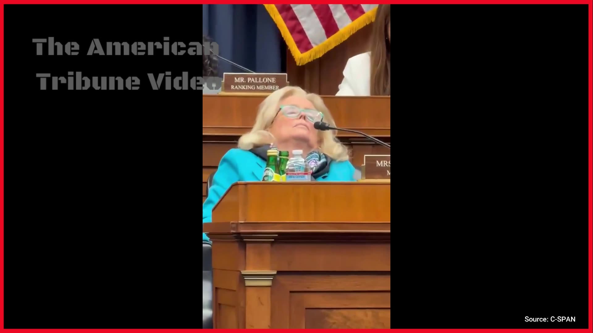 Elderly Democratic Congresswoman Falls Asleep in the Middle of a Congressional Hearing