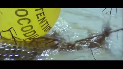 Africa Blood and Guts 1966 (Africa Addio) ENG DUB