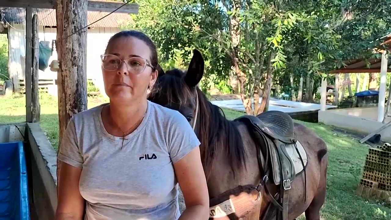 Brazil’s ranchers are embracing a program to save the Amazon