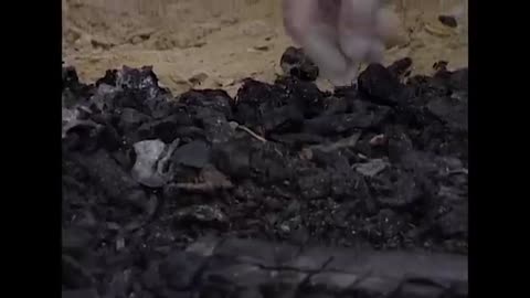 Bodies Found In The Water DOUBLE EPISODE The New Detectives