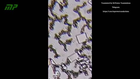 Pentavalent Easyfive-TT vaccine 13 days after dry drop: Nanotechnology