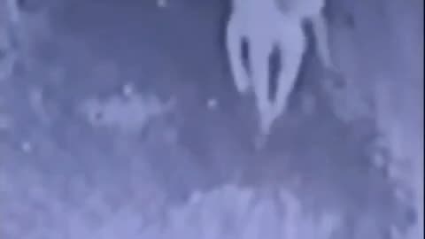 ⚠️👻 Reply to King Ghidorah: Unseen Paranormal Activity Captured! | TheHauntingHour