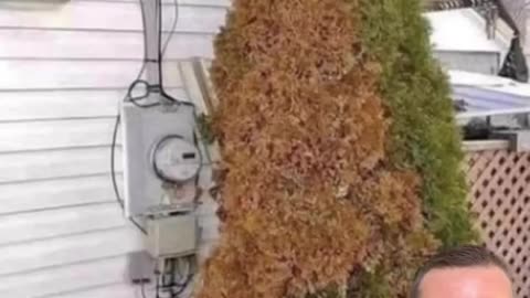 Smart Meters Fires