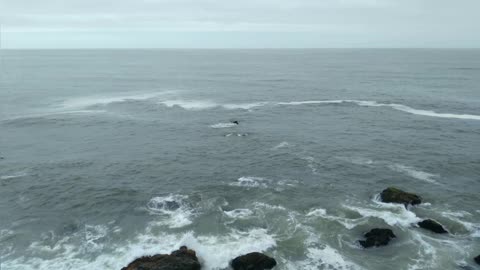 Northern California Rock Fishing From Shore (Skunked)