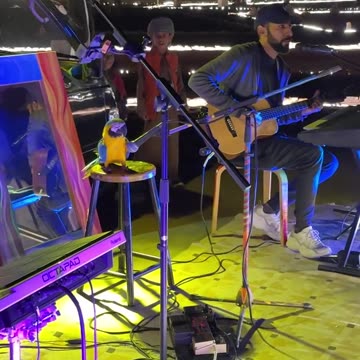 Did you ever hear a parrot sing like this? This bird is on another level!