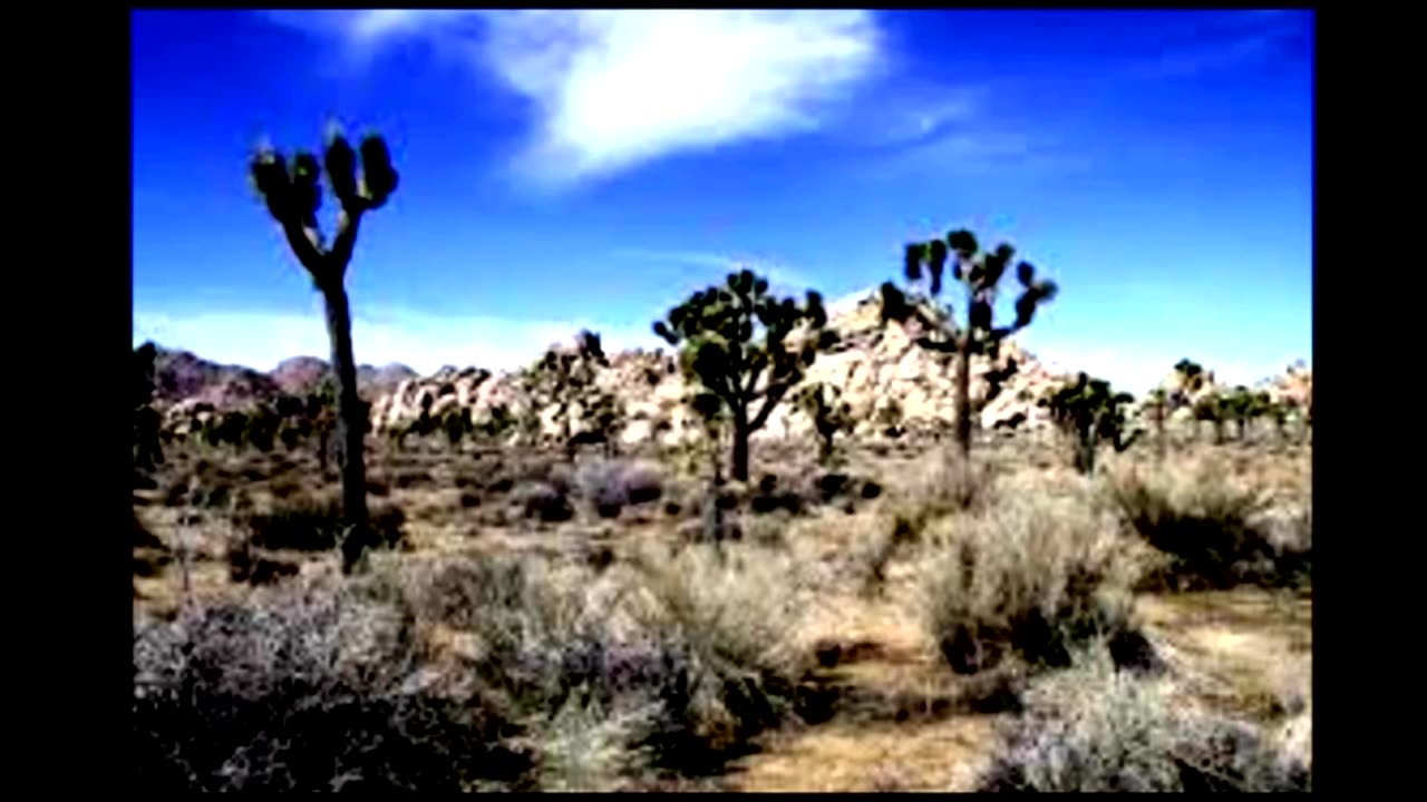 Genesis Project USA Episode 01