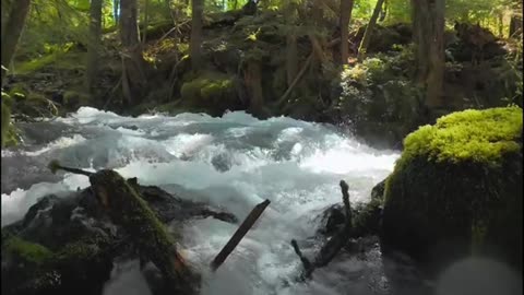 Beautiful World - Beautiful places in the World #shorts #shortsvideo #NaturalVideos #naturelover