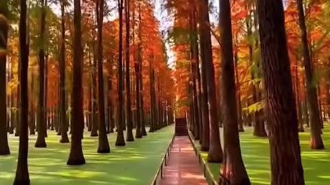 3 Must-Visit Stunning Locations in China 🇨🇳 | Travel Gems You Can’t Miss! ✨