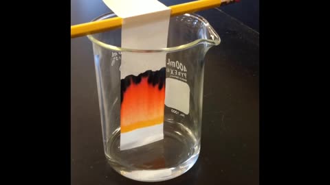 paper Chromatography
