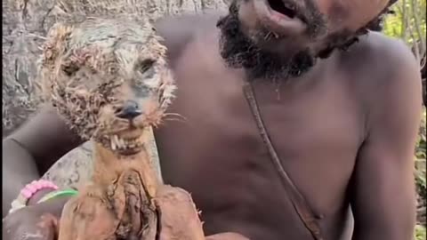 Tetanus iron pot stewed wild cat! The delicacy of the Hadzabe primitive tribe #hunting #food