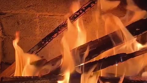 Wood Heat Saves $1000s vs Propane #moneysavingtips #heating