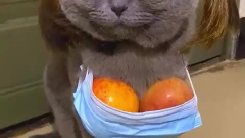 "Oops! Did That Just Happen? Watch Till The End! 😂"
