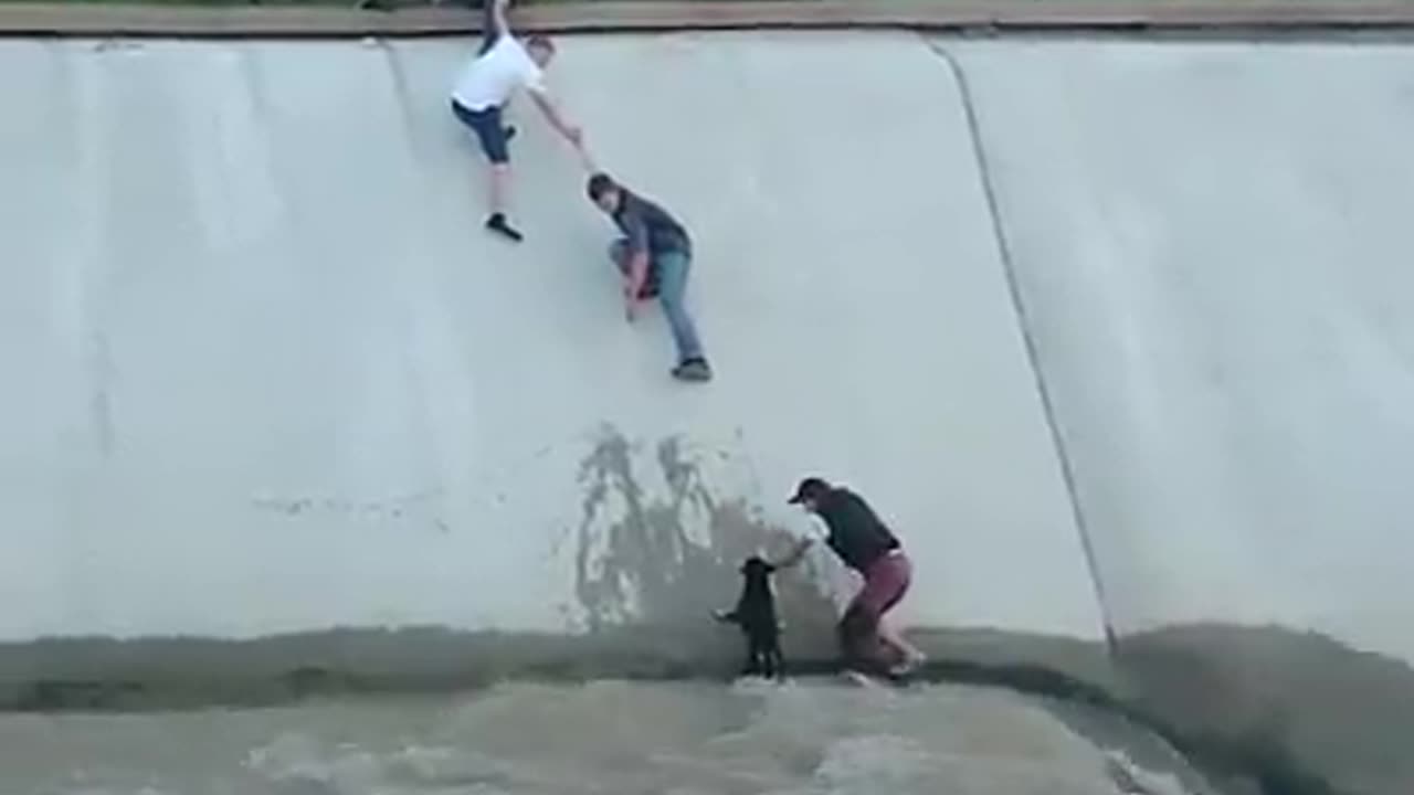 THE BEAUTY IN HUMANITY