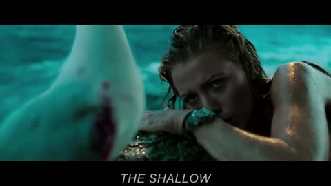 Young Female Surfer Attacked By A White Shark Has To Kill The Shark To Survive-Behzad Movie Recap