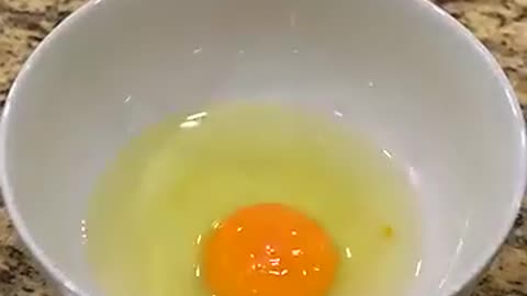 🤯🧄 Mind Blown! Pick Up Egg Yolk Like Magic | FeedMyCuriosity