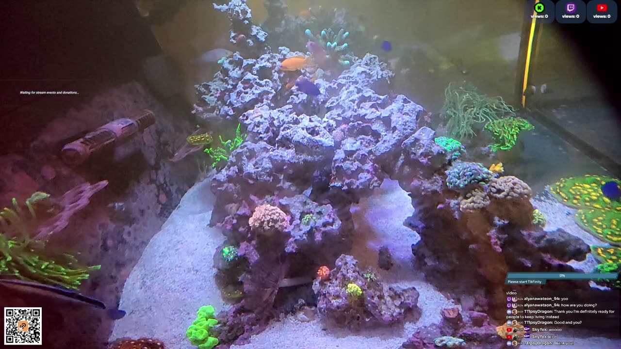 24/7 Real Live Reef Stream