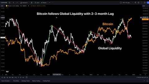 What Will Bitcoin Do Next