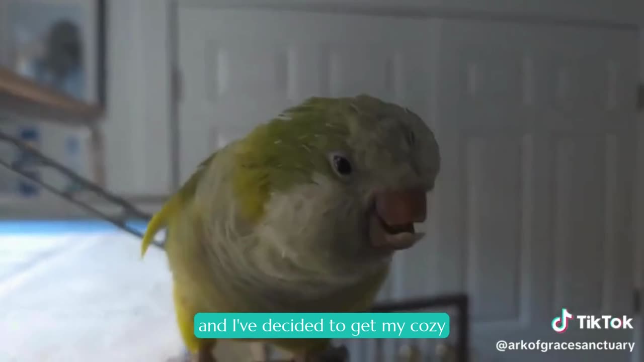 Mordi is Getting His Cozy On and You Should Too!