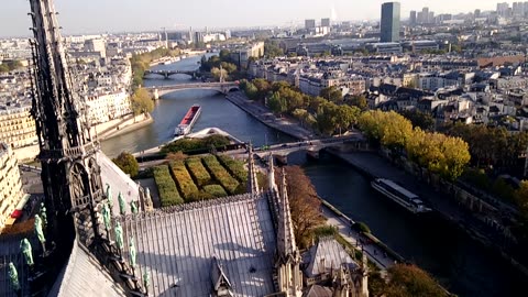 On Top of Notre-Dame Cathedral: Stunning Views of Paris