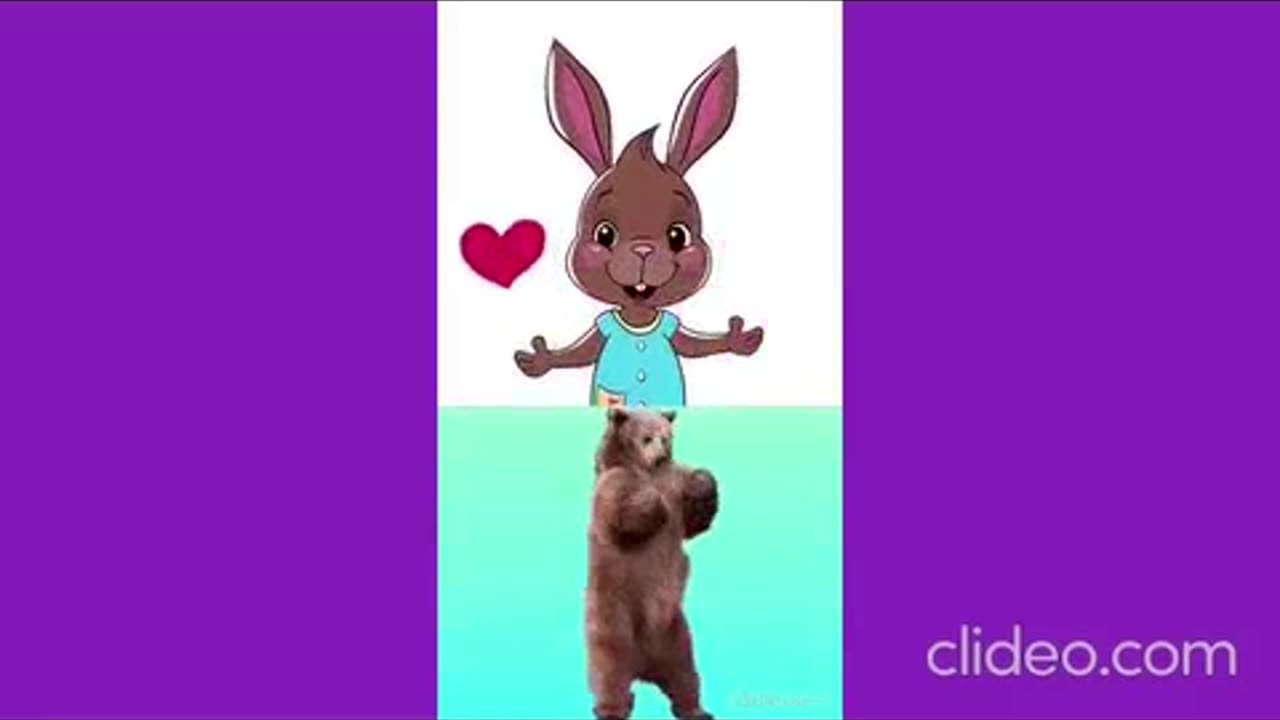 ANIMAIS DA FLORESTA COMPLETAO.mp4