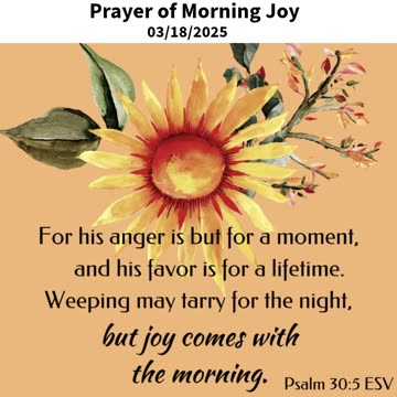 Prayer of Morning Joy #youtubeshorts #grace #jesus #mercy #faith #fyp #trust #joy #bless #God #love