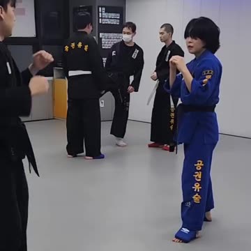 Hapkido
