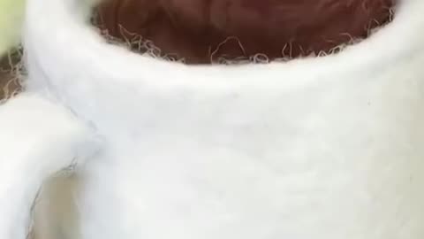 Incredible stop motion animation made entirely of wool!