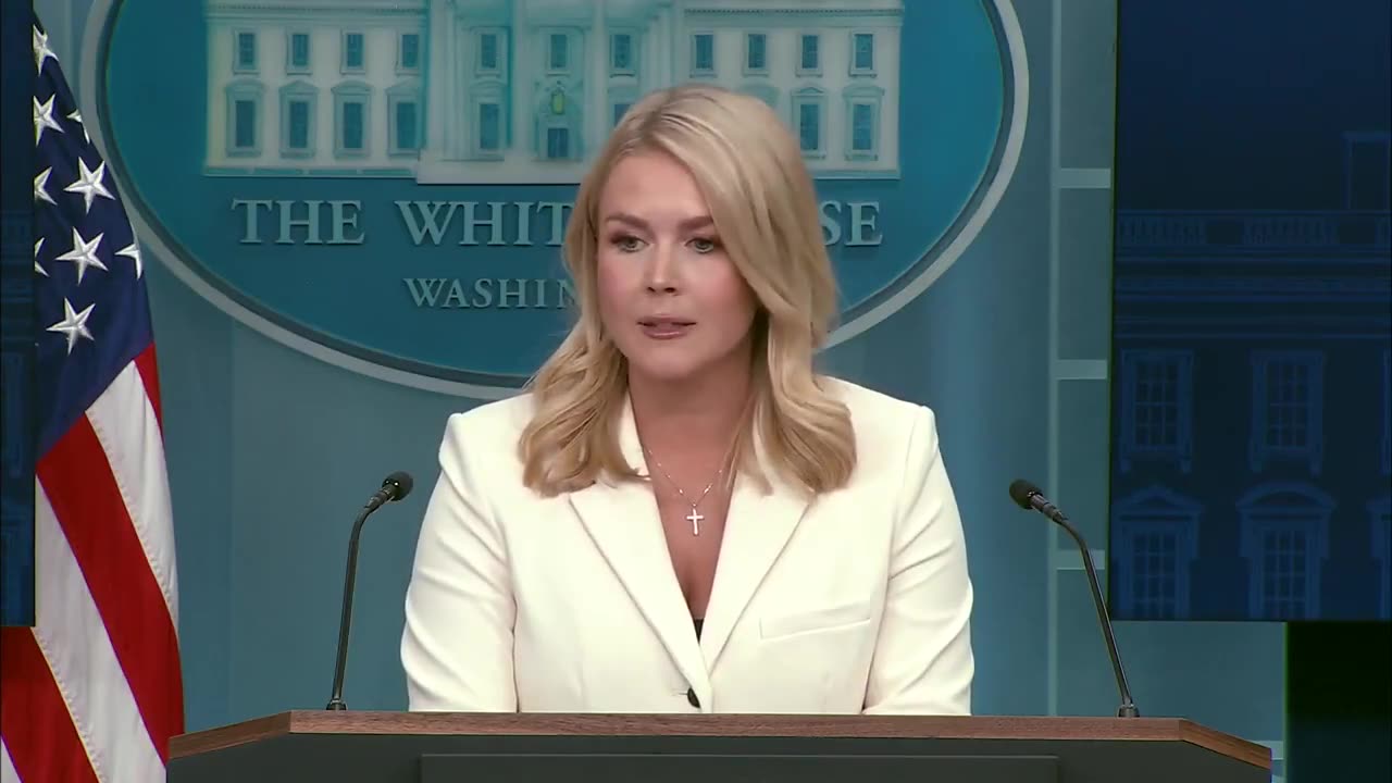 🚨🔥Karoline Leavitt highlights Nancy Pelosi's own words on our unsustainable trade deficits: