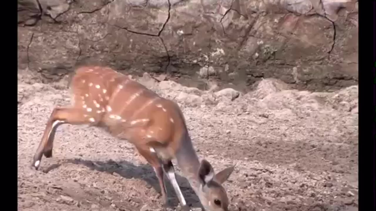 He is not luccky, he was 100% focused